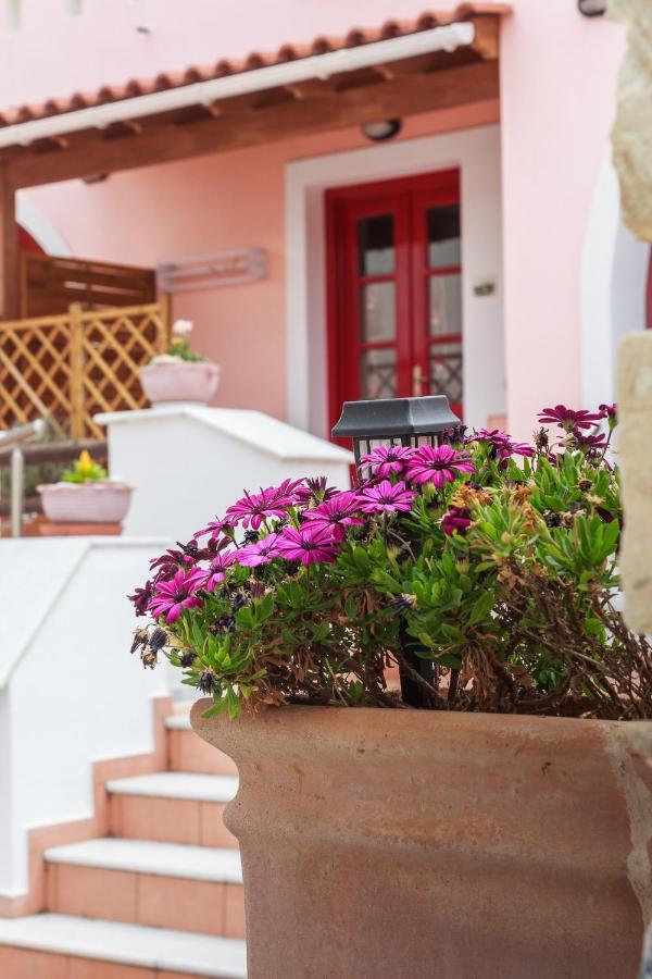 Chalki Apartments - Naxos Khalkíon Esterno foto