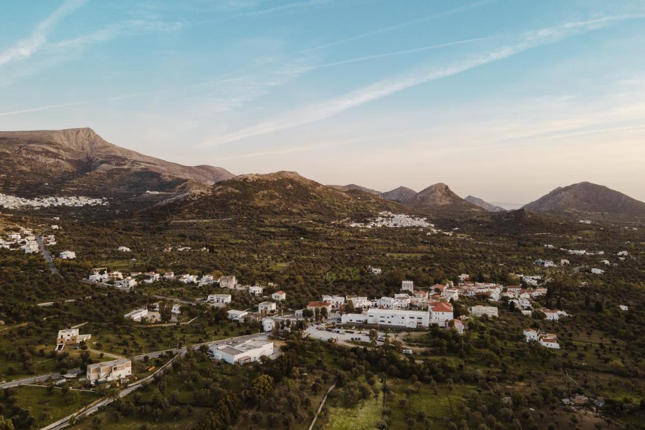 Chalki Apartments - Naxos Khalkíon Esterno foto